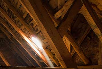 5 Most Common Attic Storage Mistakes | Attic Cleaning Culver City, CA
