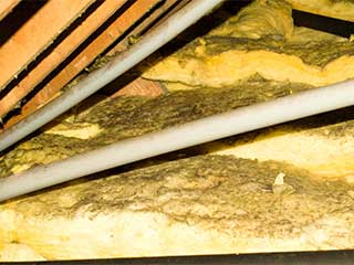 Insulation Removal | Attic Cleaning Culver City, CA Insulation Removal | Attic Cleaning Culver City, CA